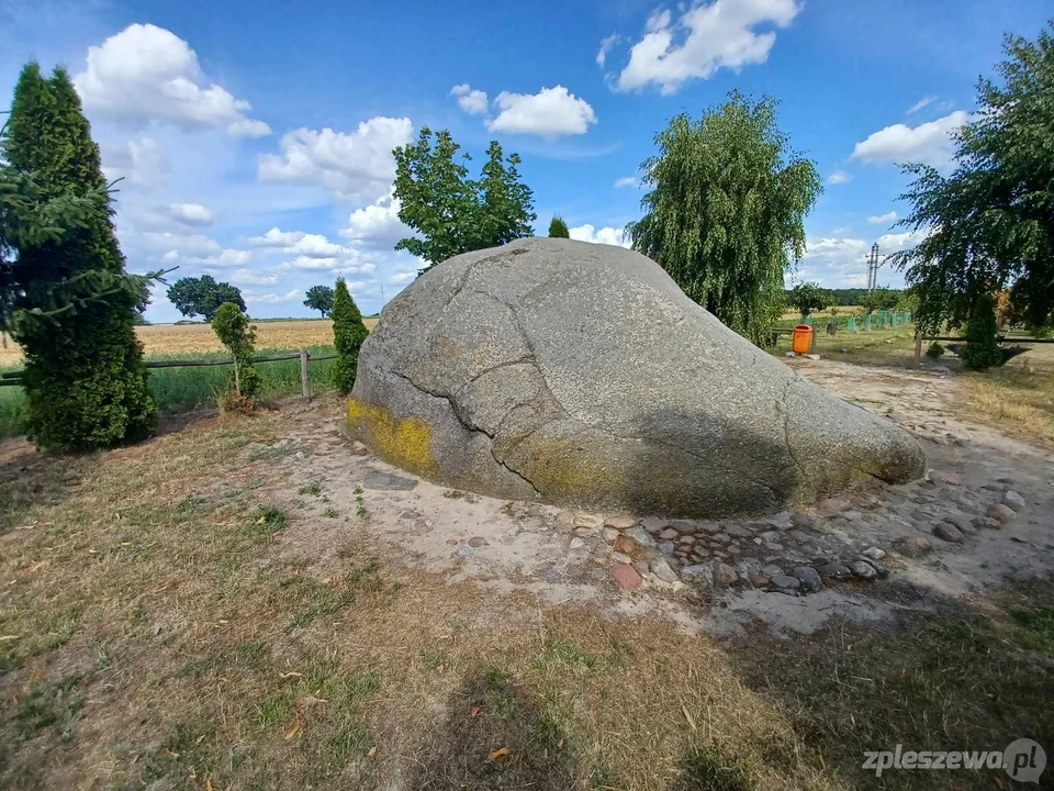 Głaz Bogudar w Rudzie - turystyczna perełka powiatu pleszewskiego. Poznajcie legendę [ZDJĘCIA] - Zdjęcie główne