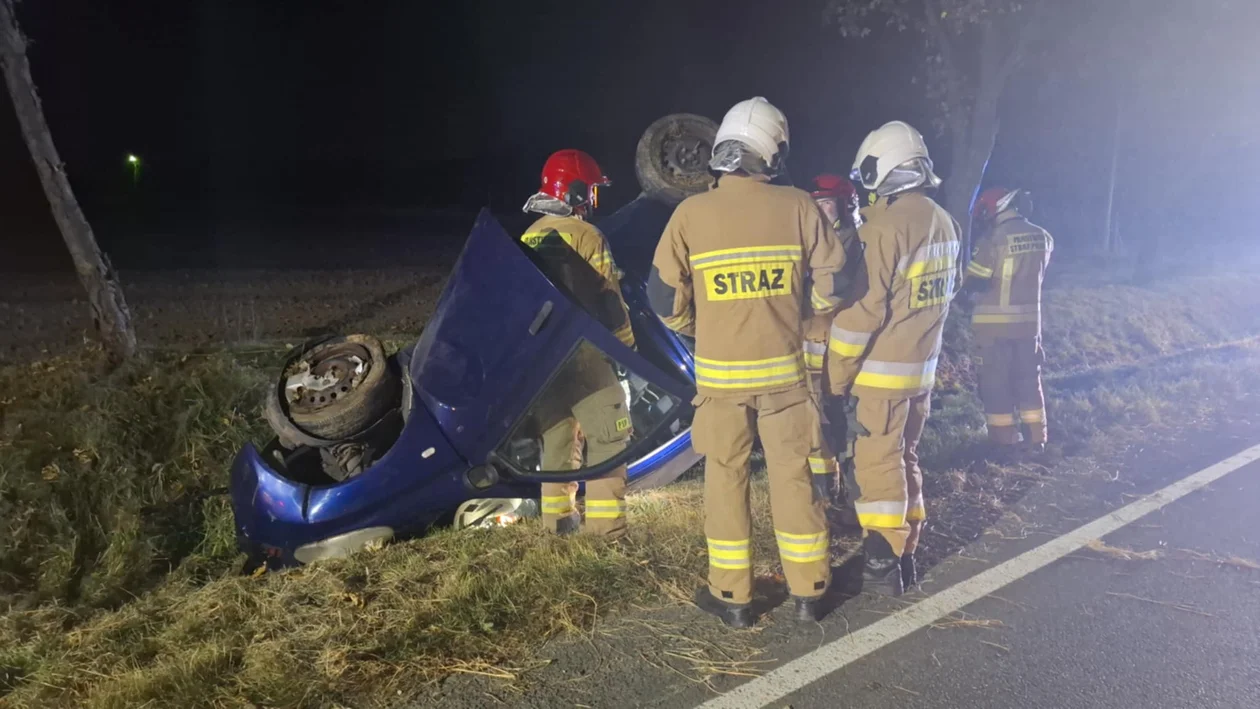 Auto wypadło z drogi krajowej nr 11 w Witaszycach - Zdjęcie główne