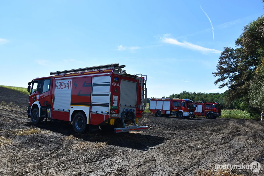 Pożar zboża w Osowie (gm. Gostyń)