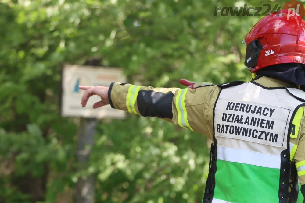 Pożar w lesie pomiędzy Zieloną Wsią a Dębnem Polskim