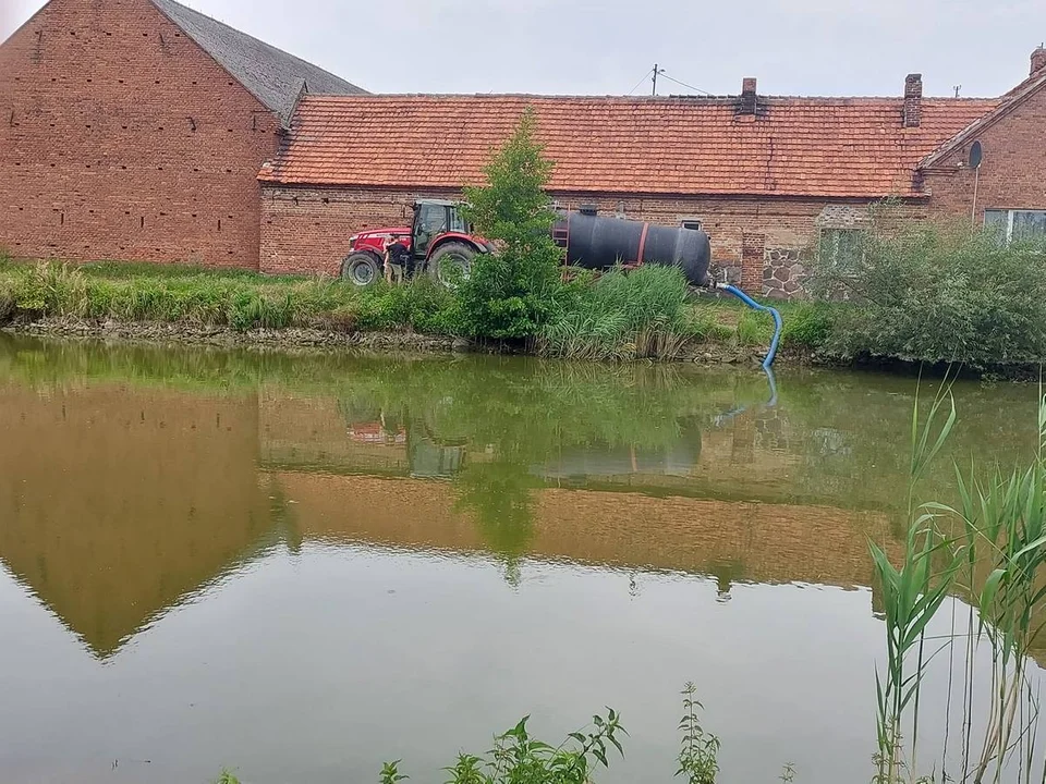 Rewitalizacja stawów w Strzelcach Wielkich i Strzelcach Małych