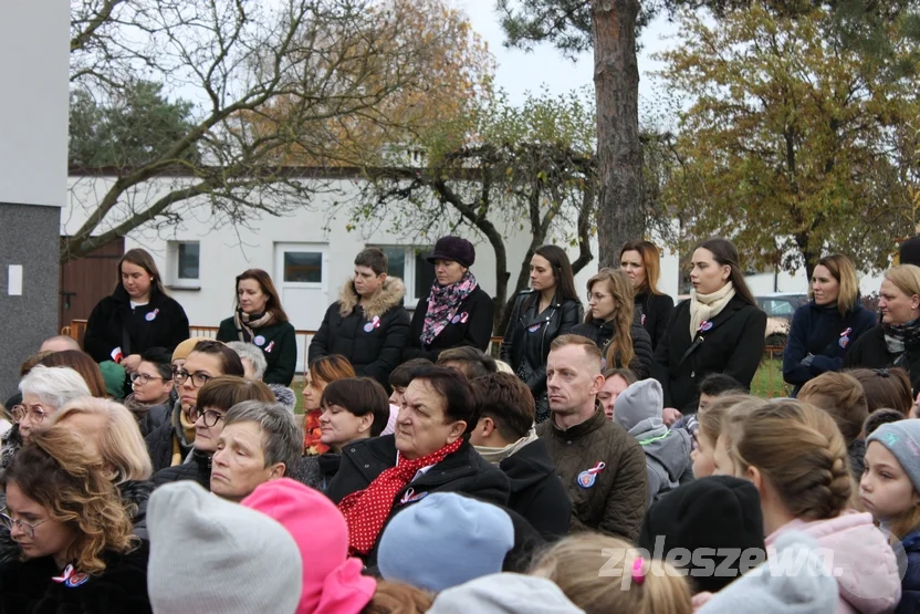 Nadanie imienia Powstańców Wielkopolskich Szkole Podstawowej w Żegocinie