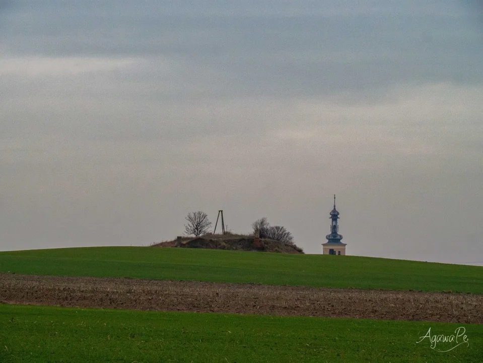 PTTK Pleszew - wejście na Gołębią Górę