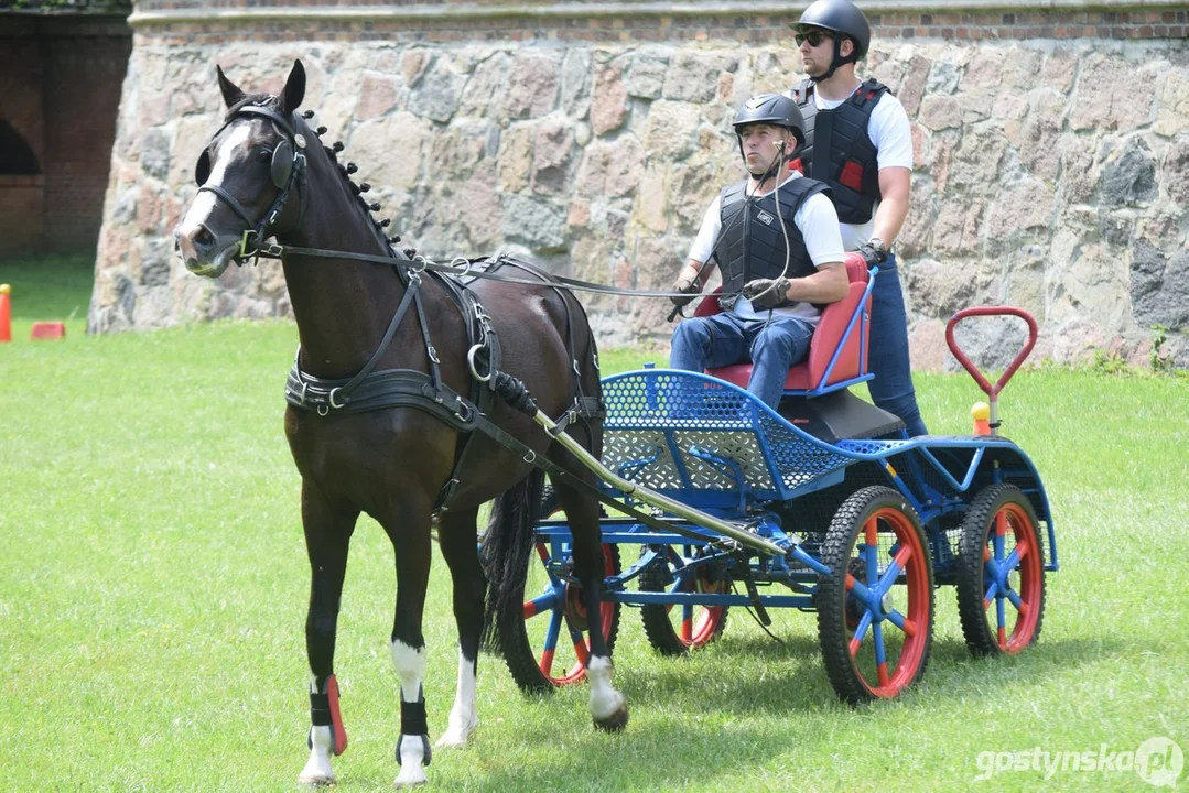 Rokosowo Horse Show 2024 - dzień pierwszy