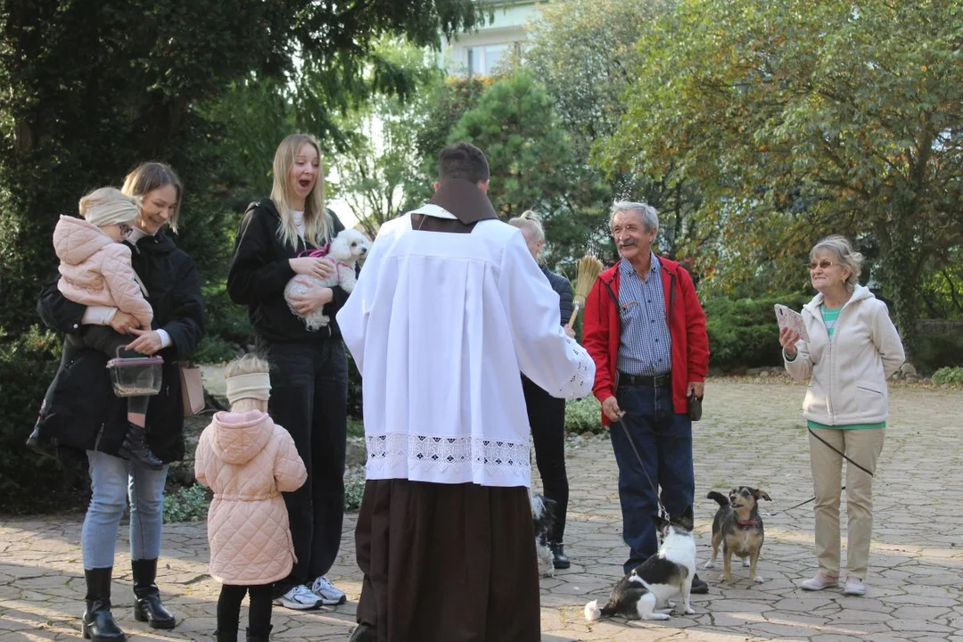 U franciszkanów w Jarocinie z okazji odpustu błogosławiono zwierzęta