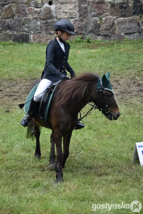 Rokosowo Horse Show - dzień drugi