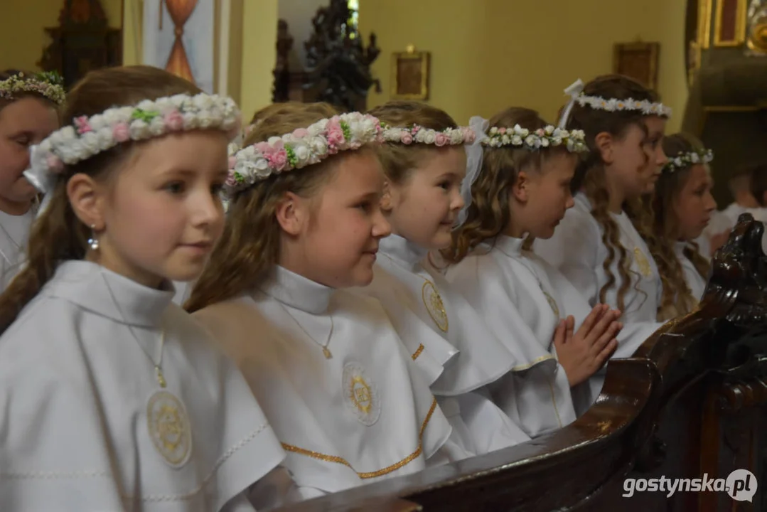 Uroczystość Pierwszej Komunii Świętej w parafii farnej w Gostyniu