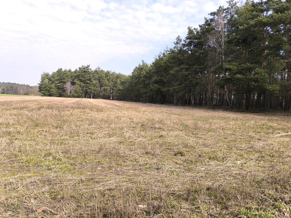 Tu na razie jest ściernisko, ale będzie pięknie. Rusza budowa za ponad milion złotych