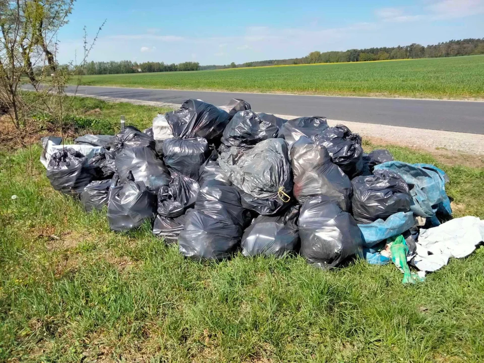 Sprzątanie trasy Zawidowice-Rokutów