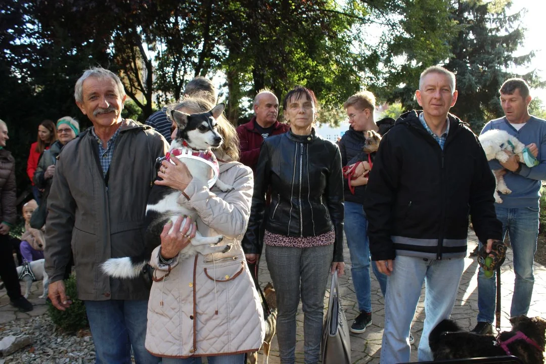 Franciszkanie w Jarocinie. Odpust św. Franciszka z Asyżu