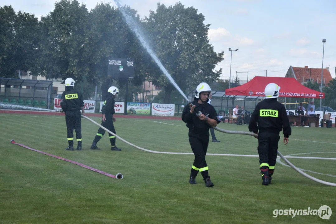 Gminne Zawody Sportowo-Pożarnicze w Borku Wlkp. 2024