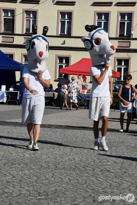 Święto Sera Smażonego w  w Pogorzeli - ustanowili rekord Polski  na największą porcję sera smażonego