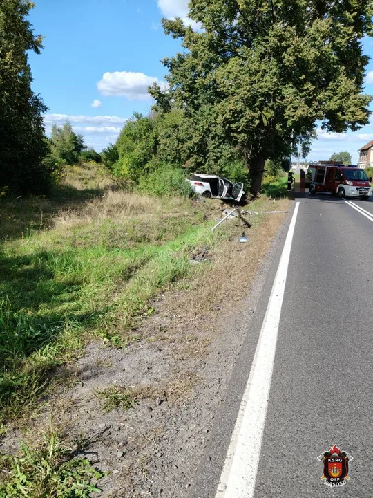 Zderzenie auta z drzewem na DK36 w Wąsoszu