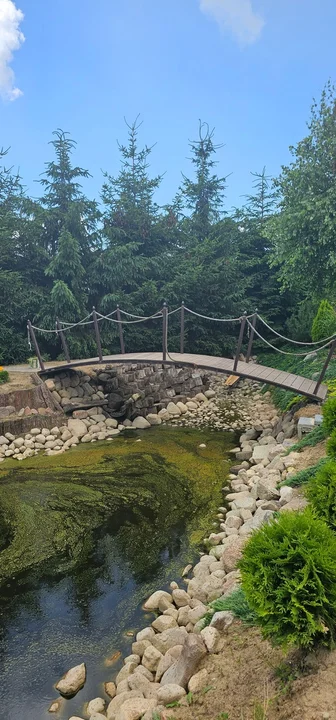 Ogród Piotra Kędzi z Borku Wlkp. wyróżnia staw i spora kolekcja iglaków