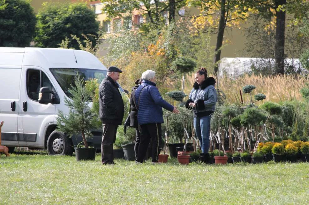 Wyróżnienie dla KGW w Witaszyczkach na targach w Marszewie