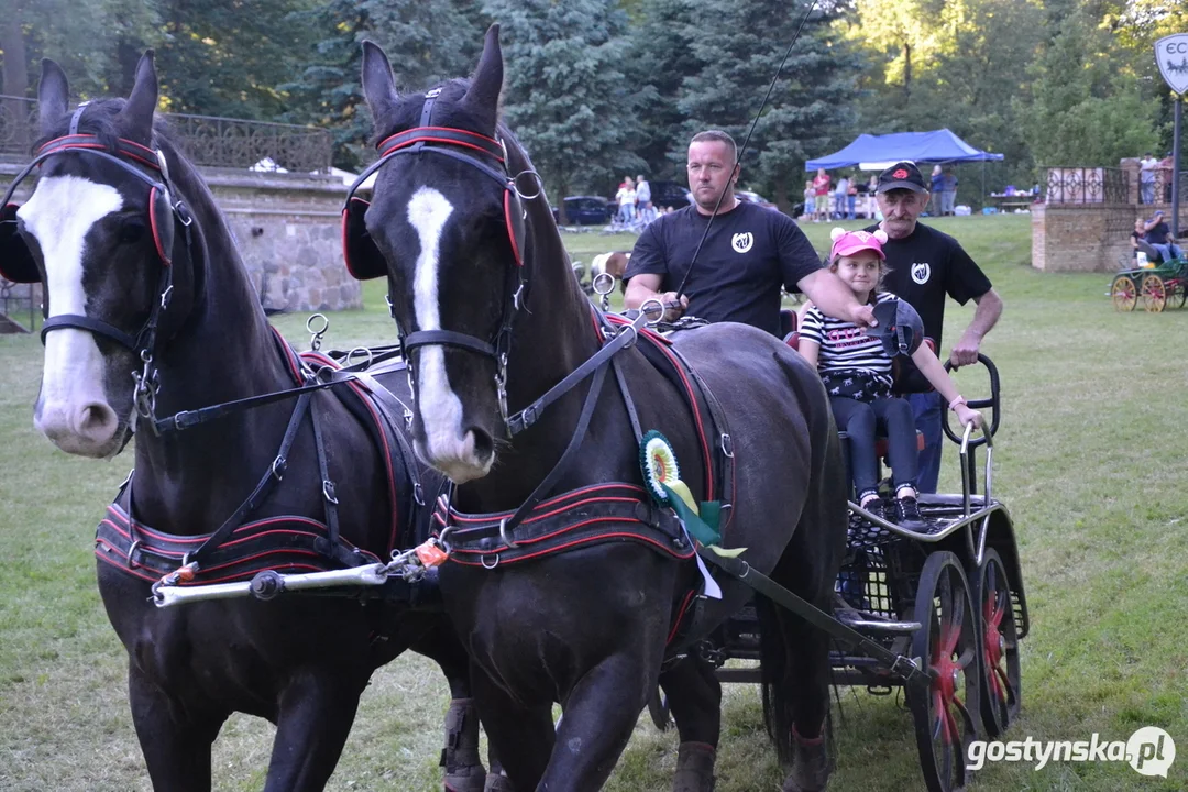 Rokosowo Horse Show 20224 - Konie i Powozy na Zamku Wielkopolskim w Rokosowie