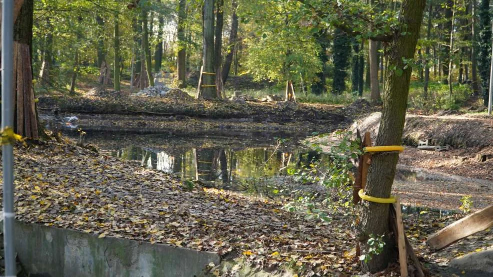 Park przy ulicy Szubianki w Jarocinie