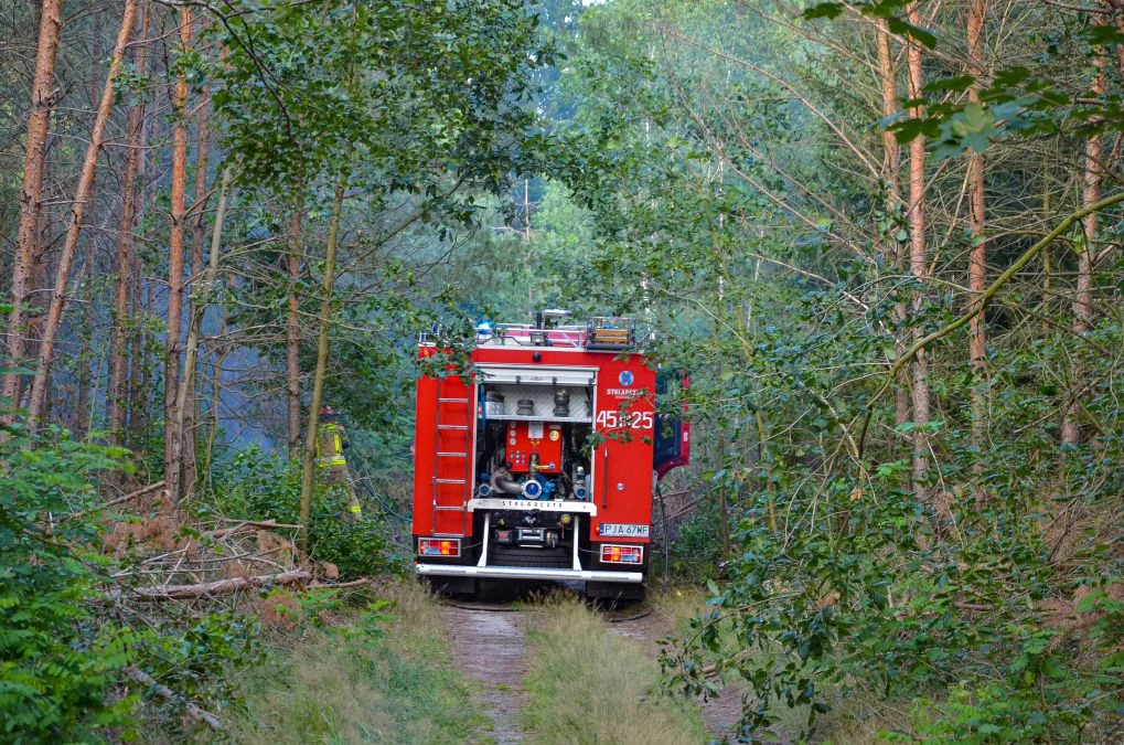 Pożary lasów w gminie Jarocin