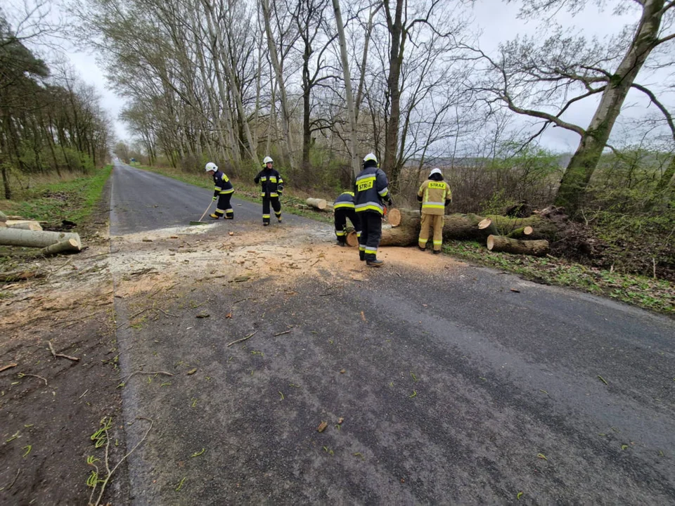 Silny wiatr spowodował szkody w powiecie gostyńskim