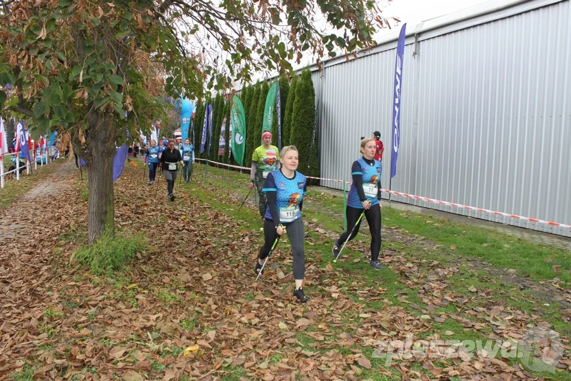 Korona Zachodu Polski Nordic Walking w Zawidowicach