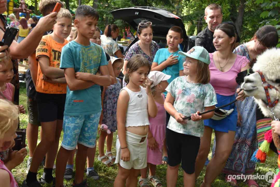 Rodzinny piknik w Pogorzeli - z alpakami i kamykami