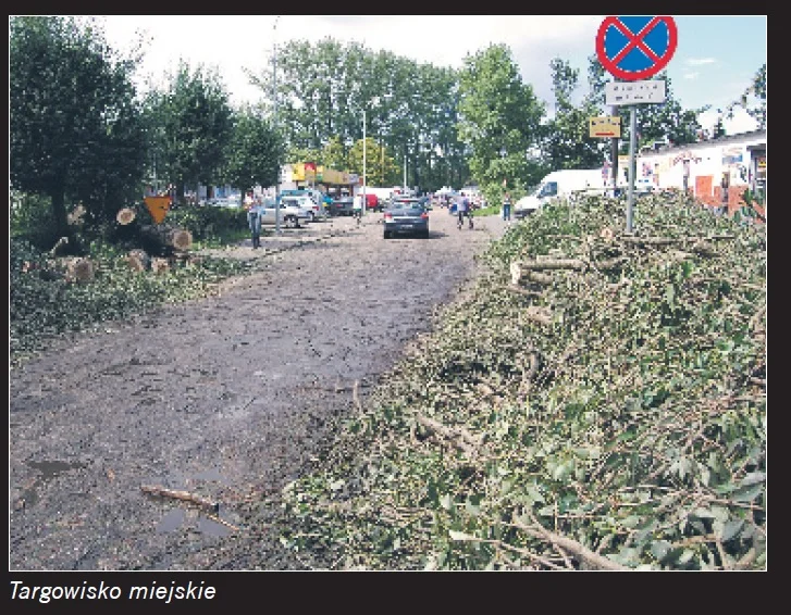 Nawałnica w powiecie krotoszyńskim w 2009 roku