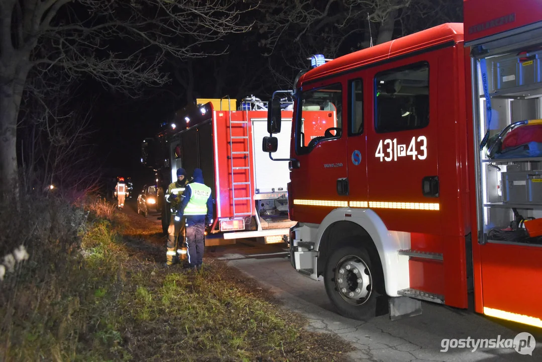 Czołówka z drzewem. Wypadek w Grodzisku (gm. Poniec)