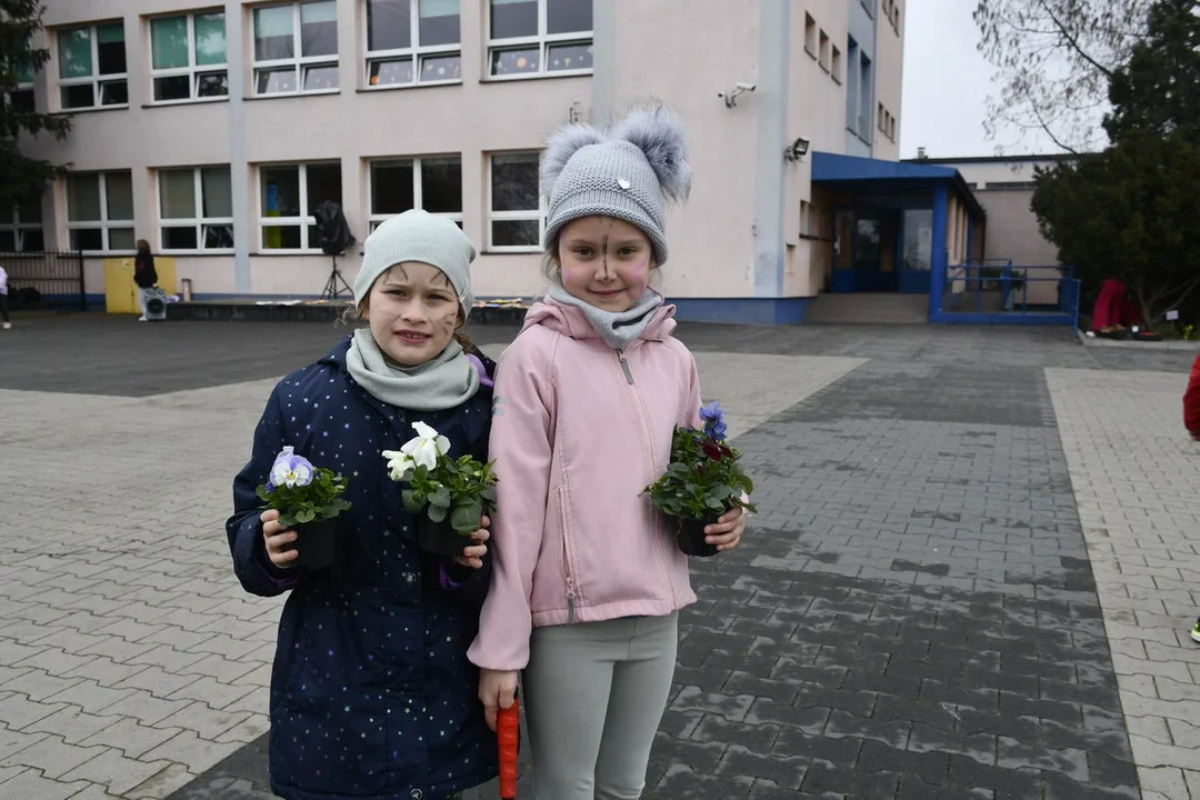 Dzień Wiosny w Szkole Podstawowej nr 3 w Gostyniu