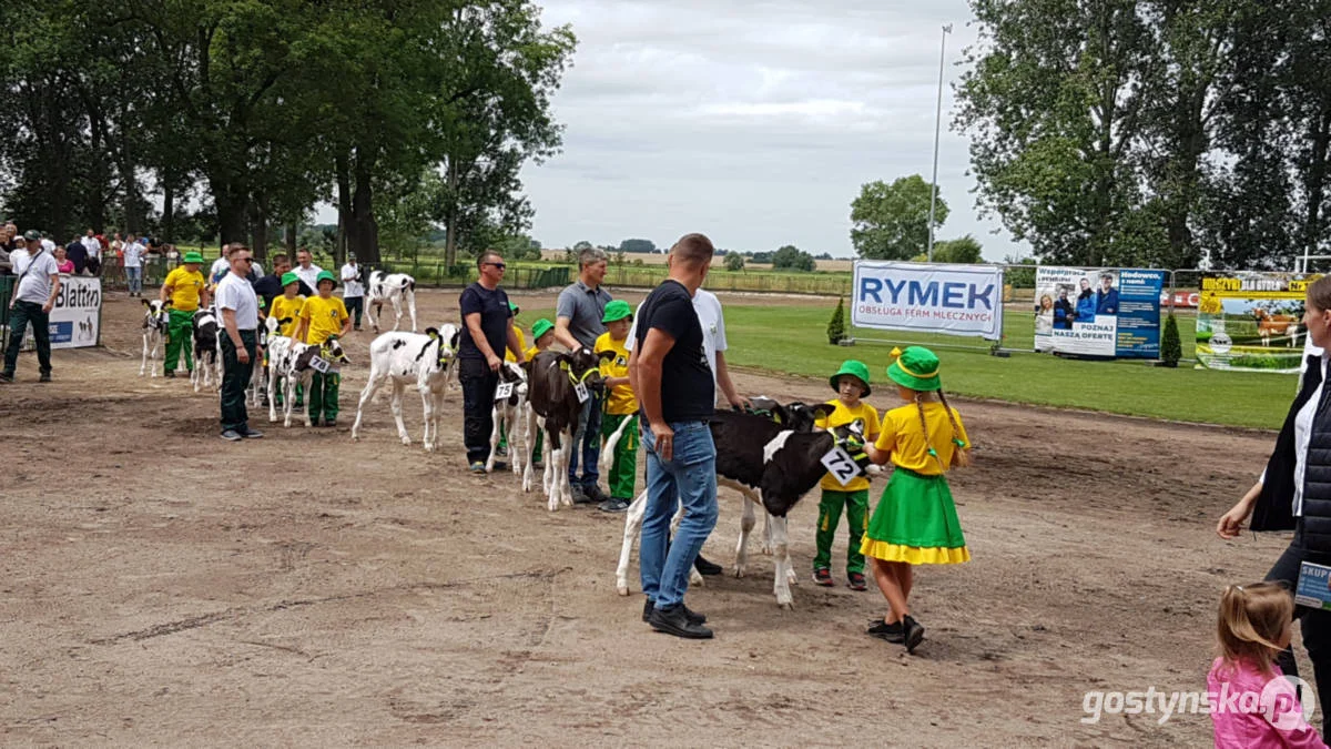 Jubileuszowa, bo XV Regionalna Wystawa Zwierząt Hodowlanych w Pudliszkach