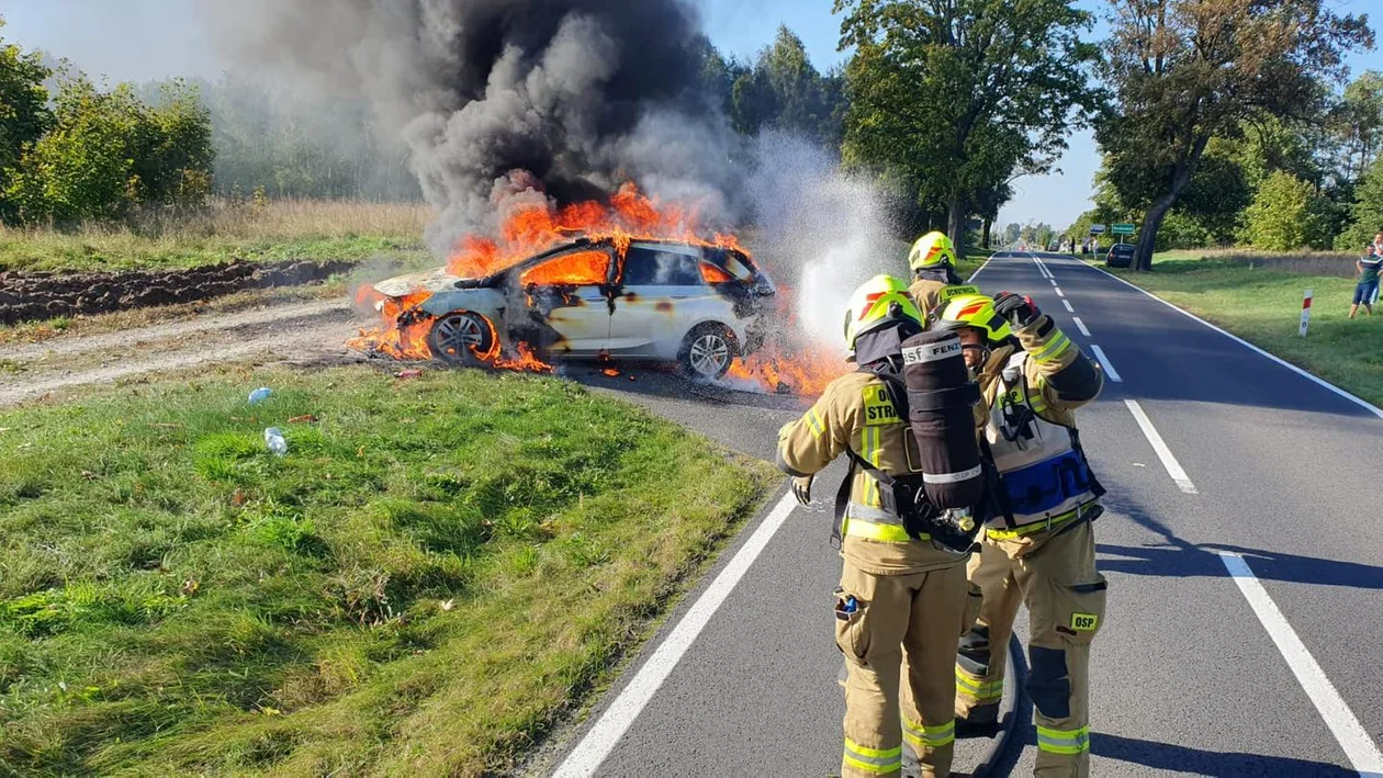 W Brudzewku na drodze wojewódzkiej zapaliło się auto [ZDJĘCIA] - Zdjęcie główne