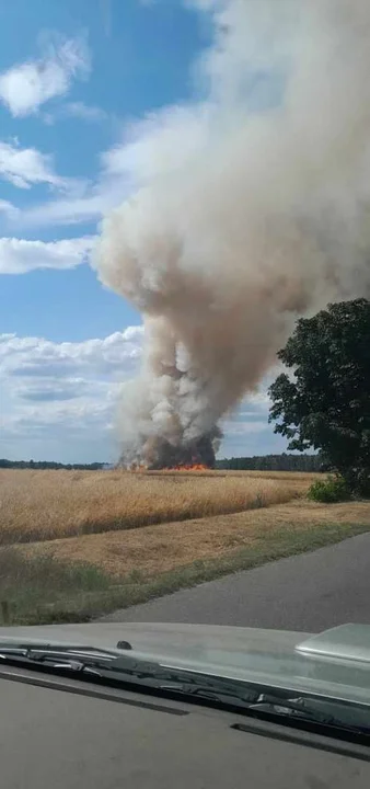 Pożar w Boguszynku w gminie Nowe Miasto