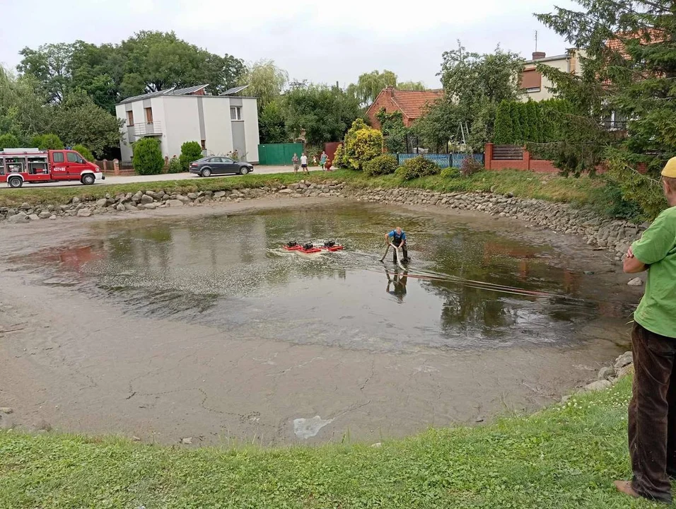 Rewitalizacja stawów w Strzelcach Wielkich i Strzelcach Małych