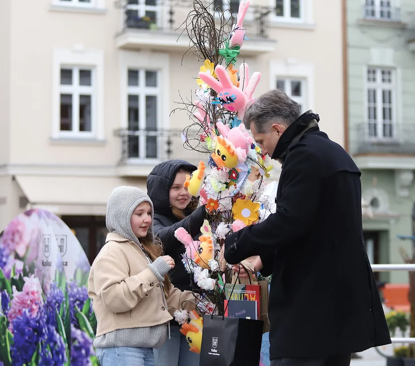 Najdłuższe palmy miały ponad 3 metry