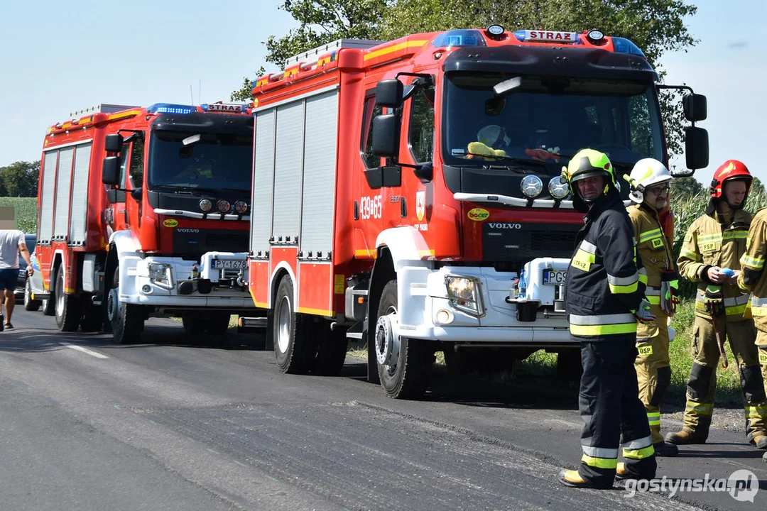 Wypadek drogowy w gminie Piaski (Szelejewo)