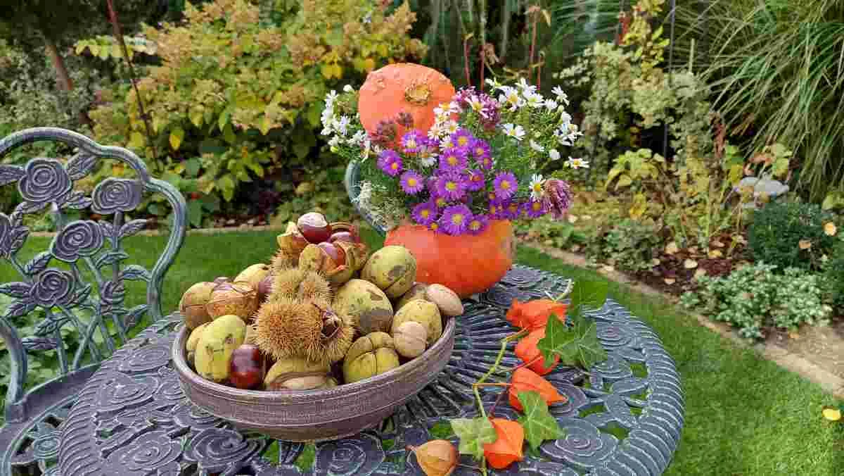 Jak przygotować ogród na jesień?