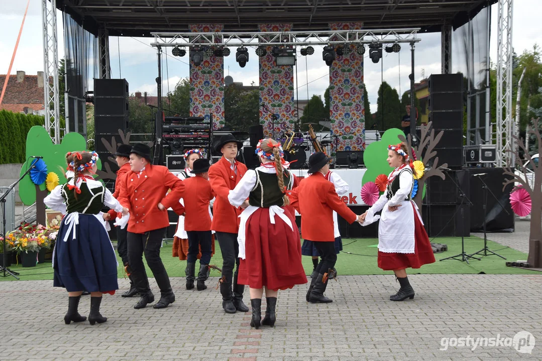 18. Prezentacje Zespołów Ludowych Wielkopolski w Borku Wlkp.