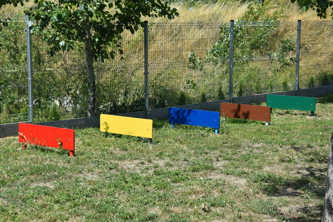 Schronisko dla Zwierząt w Dalabuszkach (gm. Gostyń) ma nowy wybieg dla psów