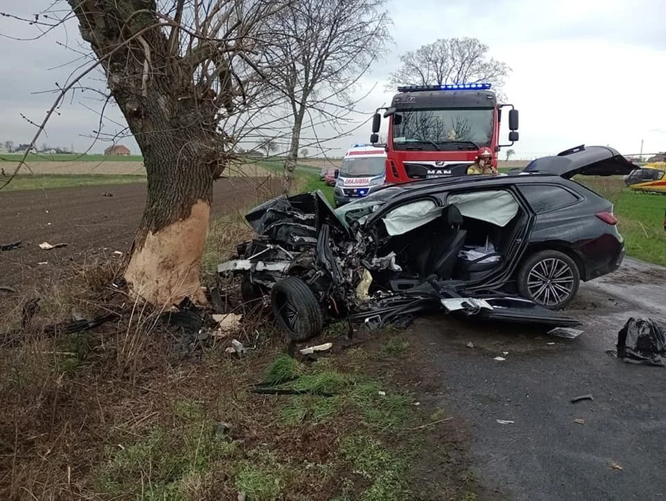 Tragedia pod Jarocinem. Uderzył w drzewo. Zginął na miejscu - Zdjęcie główne