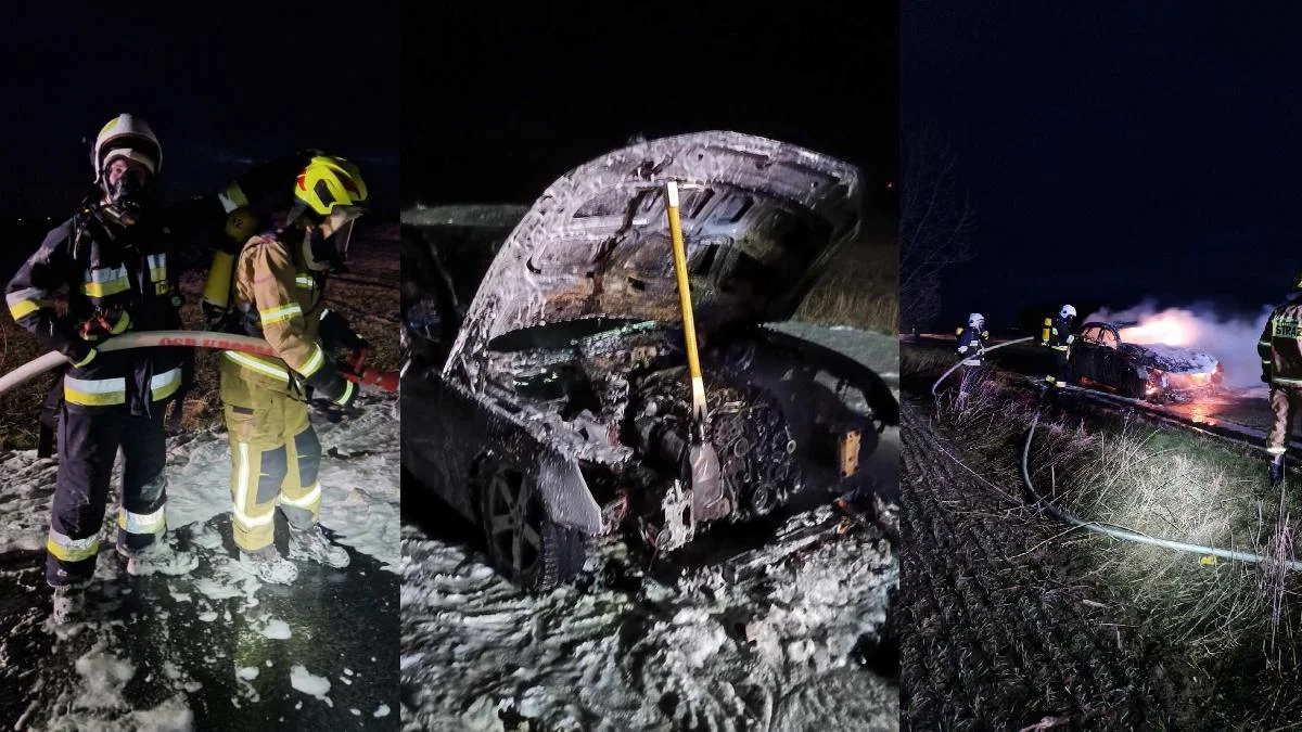 Kilkuletnie audi spłonęło doszczętnie na drodze między Chwałkowem a Potarzycą - Zdjęcie główne