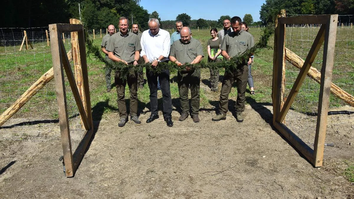 W Nadleśnictwie Piaski powstaje "Las dobry wspomnień". Każdy będzie mógł na wieki posadzić swój "imienny" dąb - Zdjęcie główne
