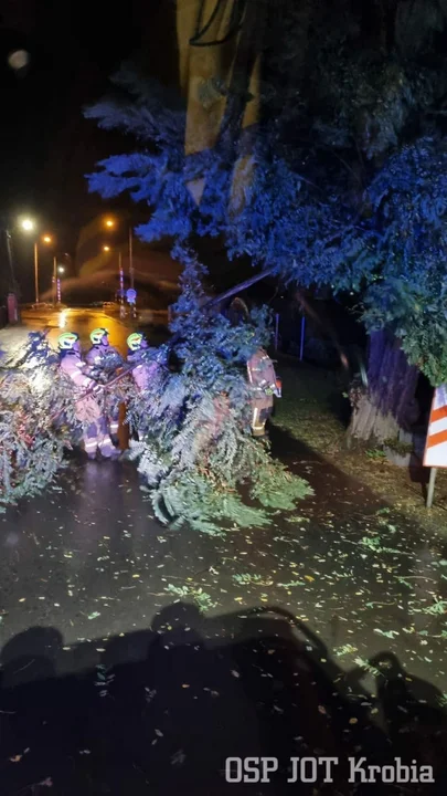 Porywisty wiatr narobił szkód w powiecie gostyńskim.