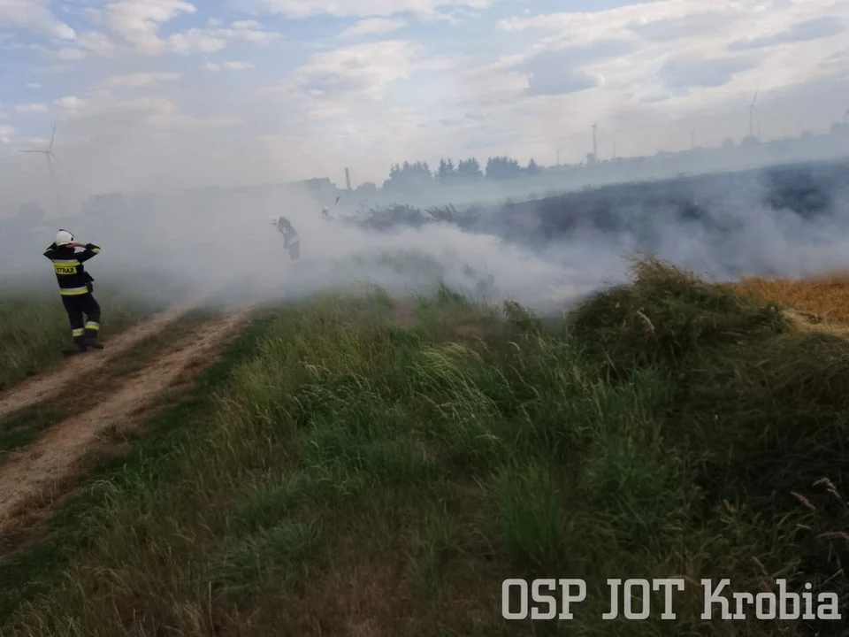 Pożar zboża w Poniecu i Kuczynie