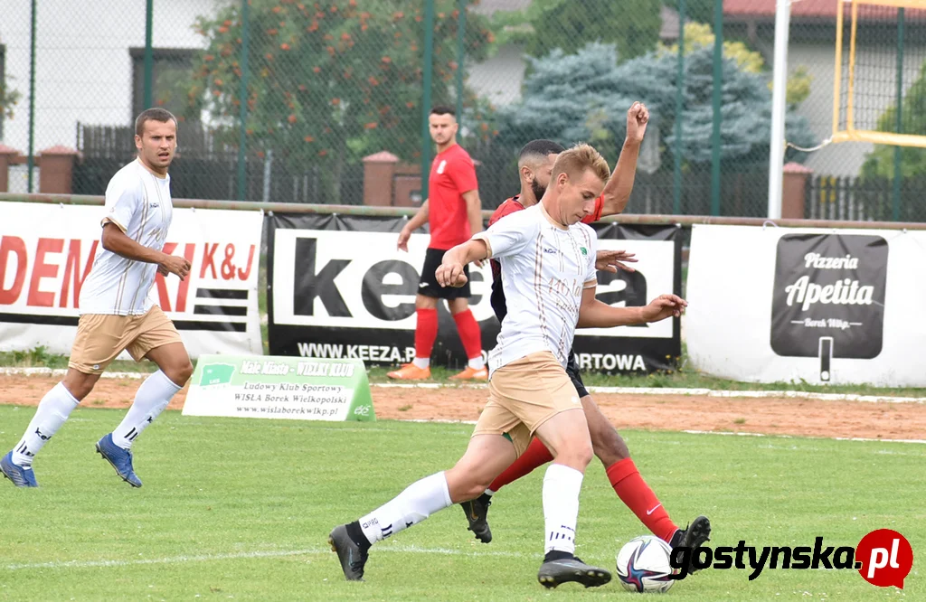 Wisła Borek Wielkopolski - Lider Swarzędz 2 : 0