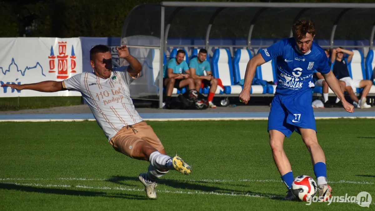 Kania Gostyń - Wisła Borek Wielkopolski 3 : 0