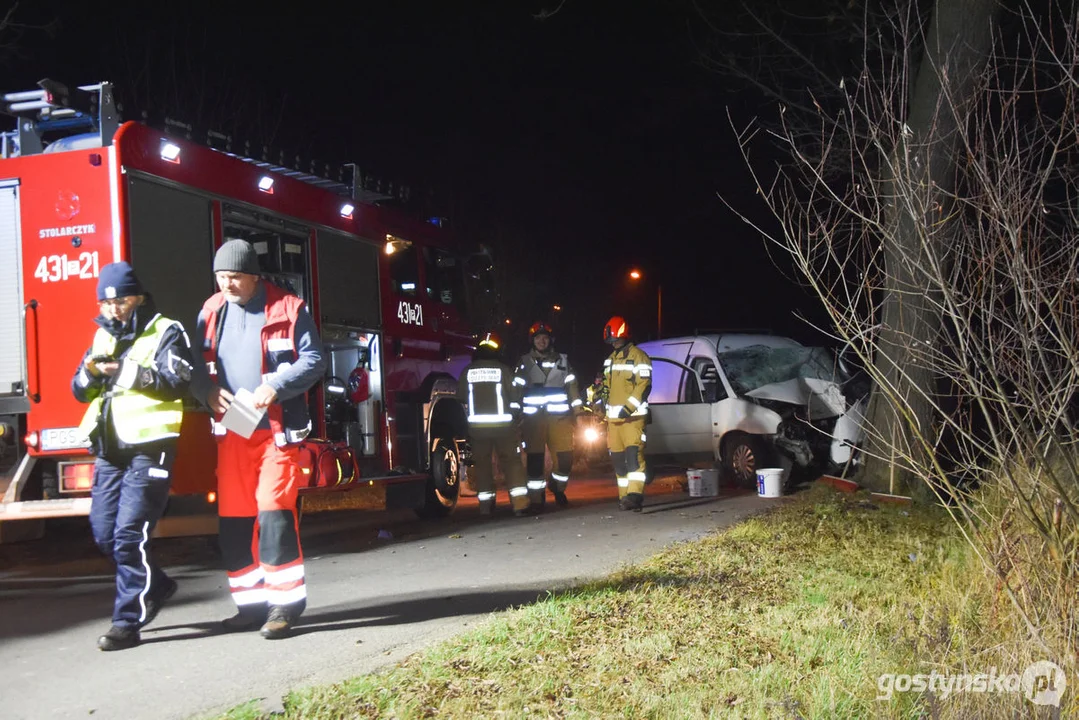 Czołówka z drzewem. Wypadek w Grodzisku (gm. Poniec)