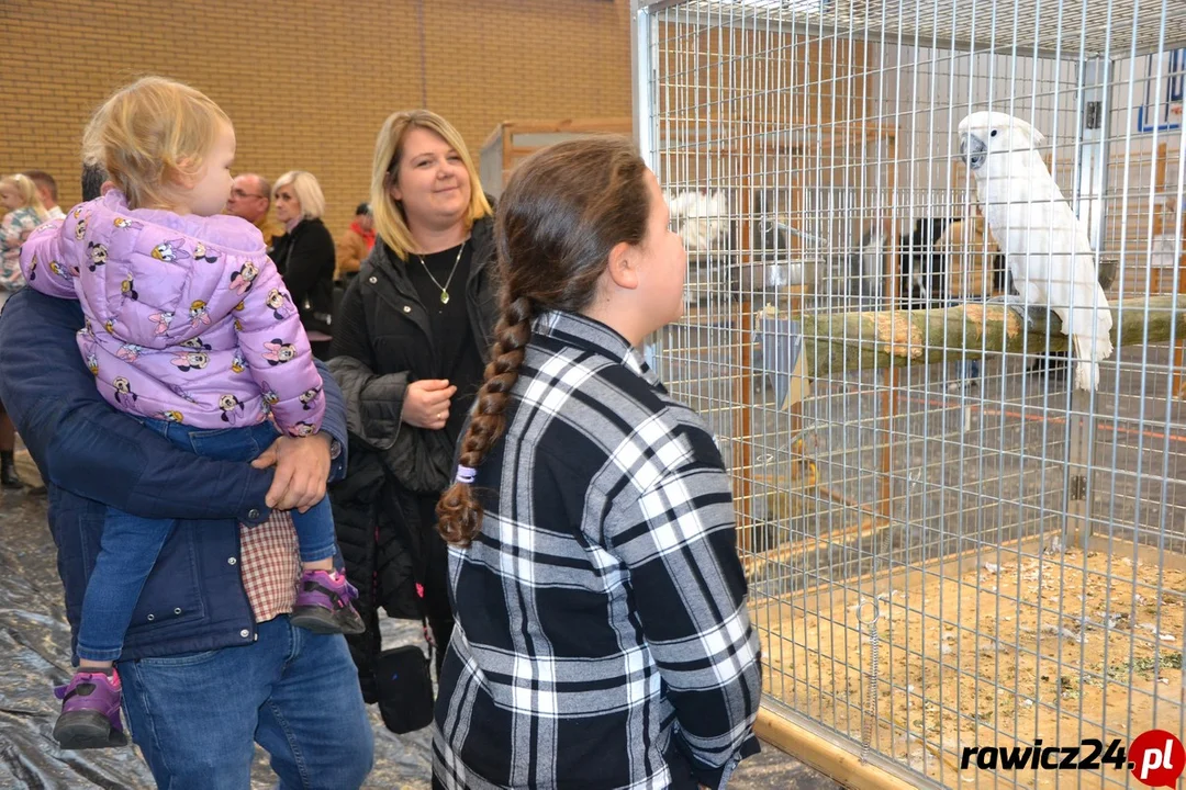 Miejska Górka. Wystawa zwierząt i podsumowanie konkursu plastycznego (ZDJĘCIA) - Zdjęcie główne