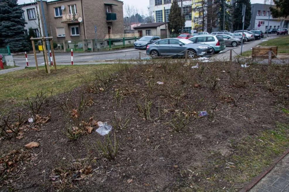 Utrzymanie porządku na terenie Jarocina