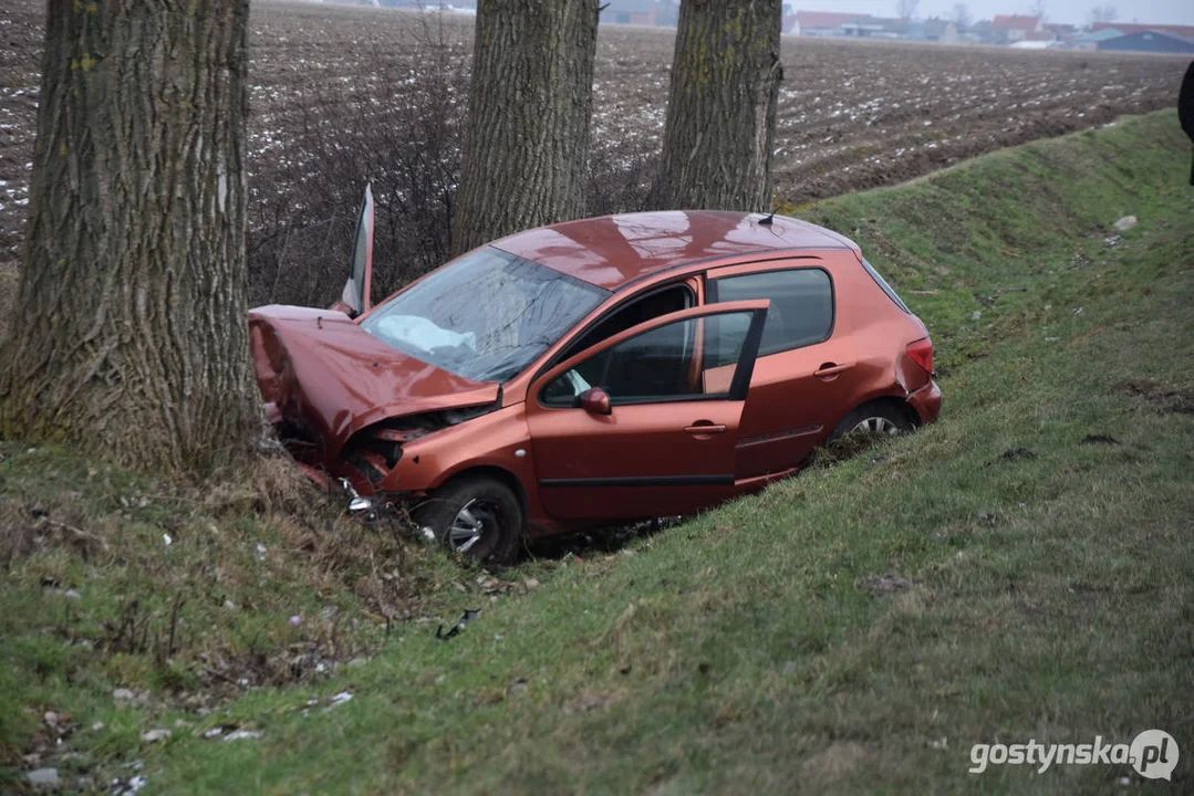 Wypadek samochodowy na drodze Strzelce Wielkie - Lipia (droga Piaski - Pogorzela)