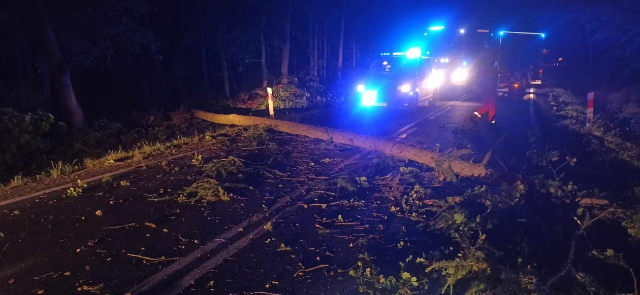 Wypadek na trasie Krotoszyn - Sulmierzyce