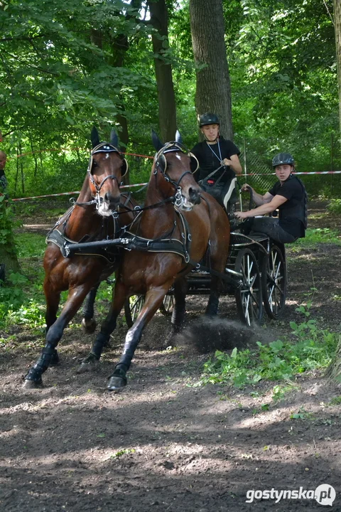 Rokosowo Horse Show 20224 - Konie i Powozy na Zamku Wielkopolskim w Rokosowie